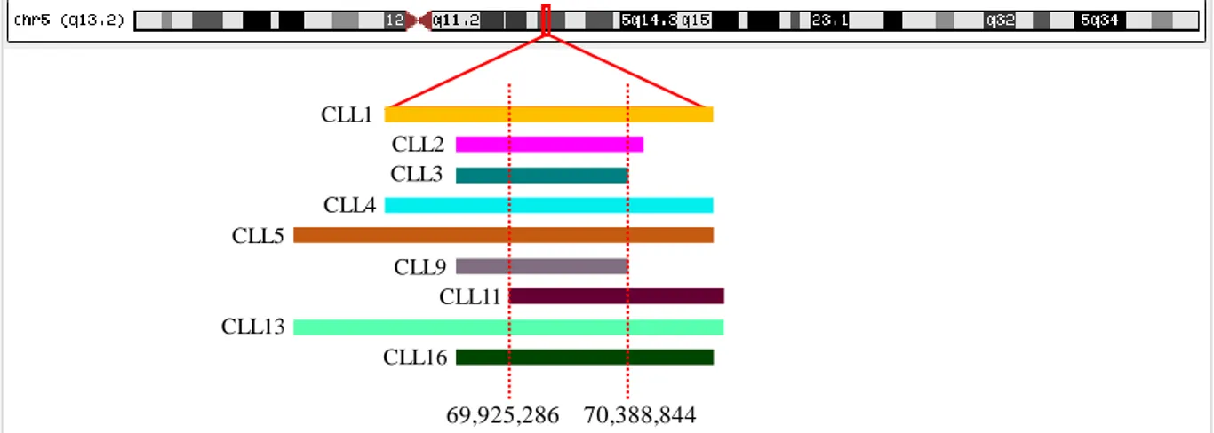 Figure  3.5  –  Deletions  detected  at  5q,  using  aCGH.  In  this  cohort,  9  samples  presented  a  del(5q)  (45.0%)