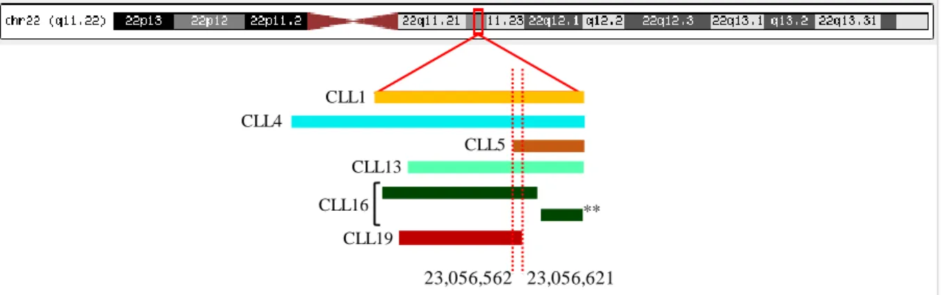 Figure  3.6 –  Deletions  detected at  22q, using  aCGH.  In  this  cohort, 6  samples  presented  a  del(22q)  (30.0%)