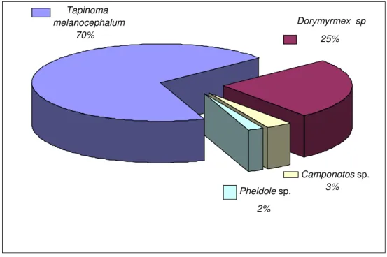 Gráfico 3: Frequência de espécies de formigas coletadas no hospital  especializado na assistência de pacientes com tuberculose no estado de  