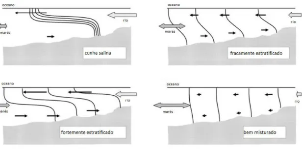 Figura  1.1.  Classificação  dos  estuários  de  acordo  com  a  estratificação  da  salinidade