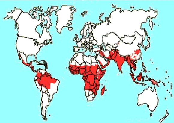 Figura 1. Áreas Endêmicas de Malária no mundo (Fonte:OMS,1997). 
