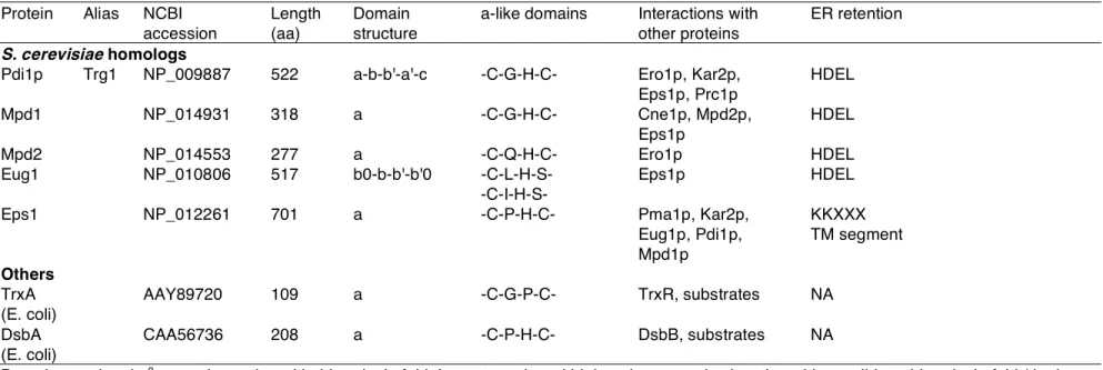 Table 1 - Characteristics of S. cerevisiae PDI-like proteins and comparison to TrxA and DsbA from E