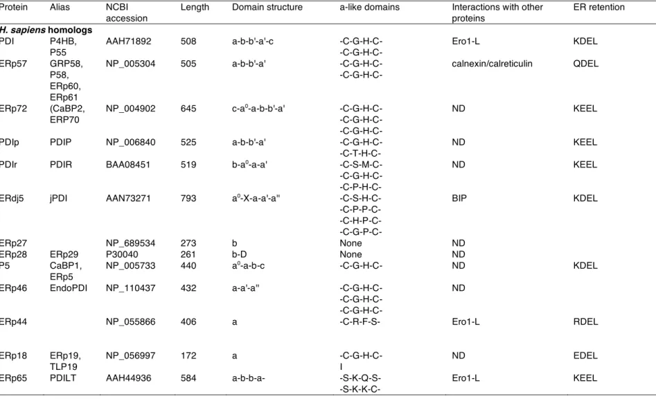 Table 2 - Characteristics of mammalian PDI-like proteins and comparison to TrxA and DsbA from E
