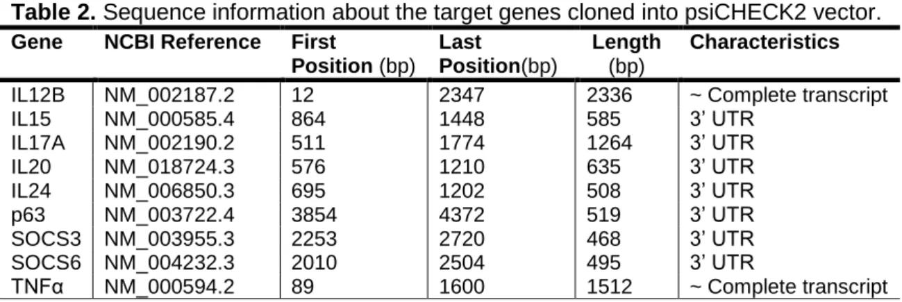 Table 1. Oligonucleotide sequences and predicted transcripts for antagomiR-203 and  antagomiR-Negative control