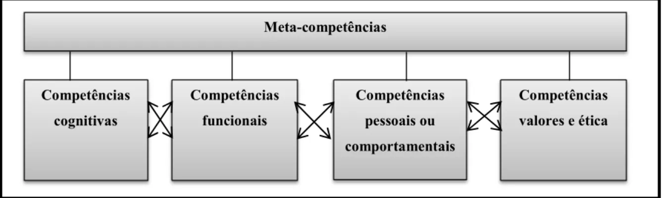 Figura 5 – Competências funcionais e comportamentais 