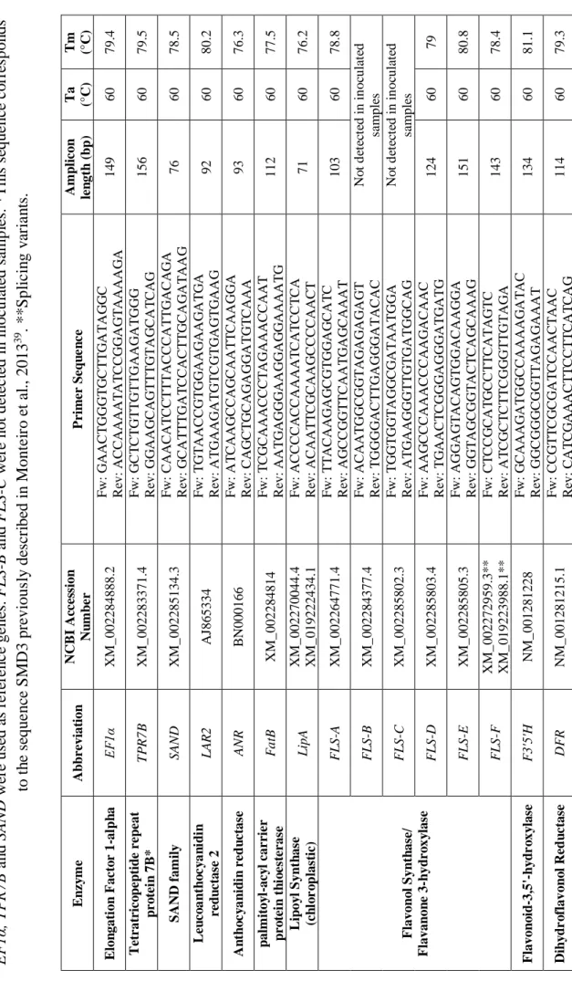 Table 1 - Candidate reference genes and target genes transcripts primer sequences, amplicon length and qPCR analysis