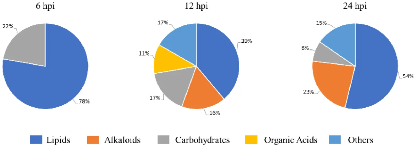 Figure 4 - Differently accumulated metabolites major classes in infected leaves. 