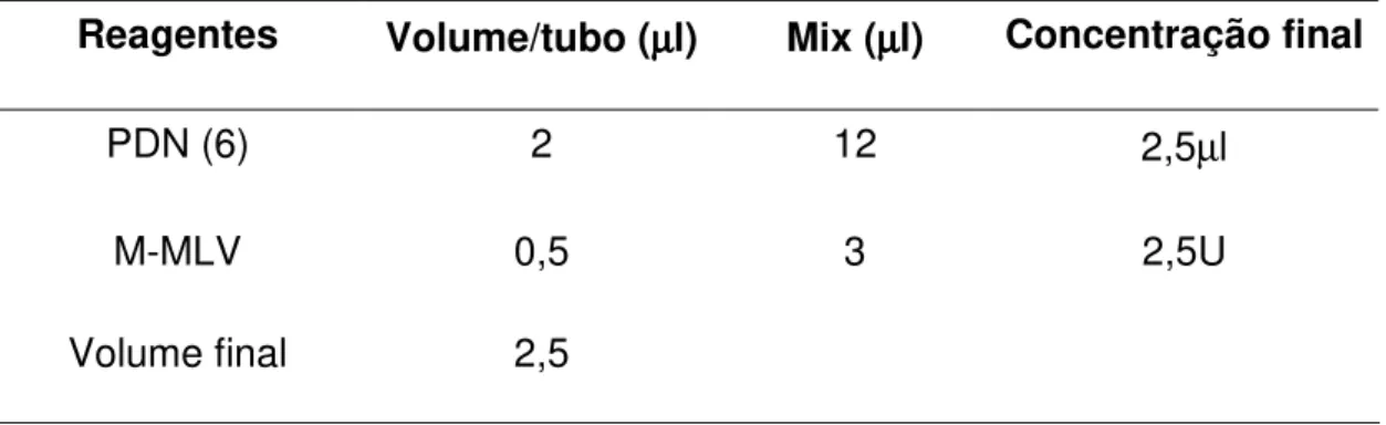 Tabela  3:  Concentrações  e  volumes  dos  reagentes  utilizados  na  segunda  fase da reação de RT-PCR