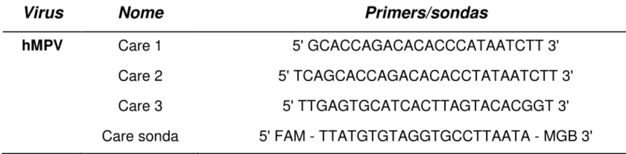 Tabela  9:  Seqüência  de  primers  CARE  1,  CARE  2,  CARE  3  e  da  sonda  CARE  para  diagnóstico  de  metapneumovirus  humano  por  PCR  em  tempo  real.