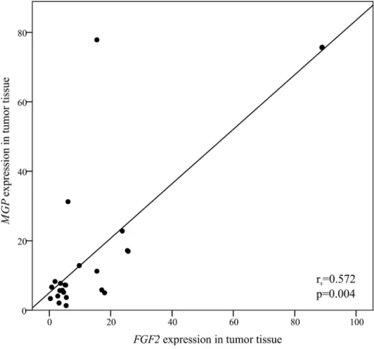 Fig. 2. Correlation between FGF2 and MGP gene expression in tumor tissue. As described in experimental design in  materials and methods, the correlation between MGP and FGF2 gene expression was evaluated through the SPSS soft-  ware, applying the Spearman 