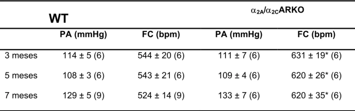 Tabela 1: Medida da pressão arterial (PA) e freqüência cardíaca (FC) nos animais WT e  α 2A /α 2C ARKO aos 3, 5 e 7 meses de idade