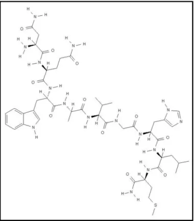 Figura 2 - Estrutura da bombesina (Fonte: Estrutura da Bombesina, 2009) 