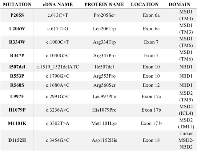 Table 4.1. List of CFTR orphan mutations in study (ordered by amino acid number). 