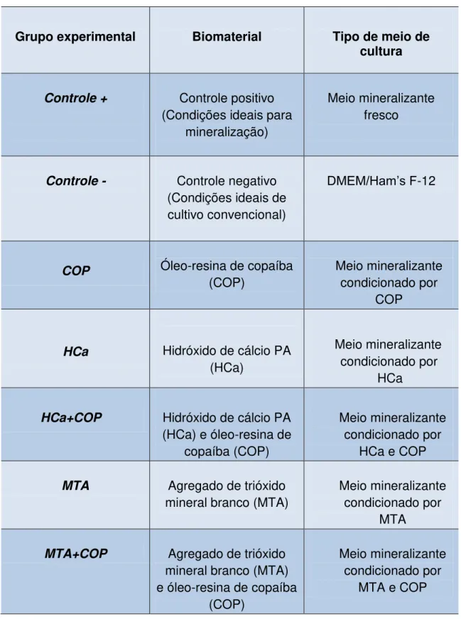 Tabela  4.2  –   Divisão  dos  grupos  experimentais  de  acordo  com  o  biomaterial  e  o  meio  de  cultura utilizado para os ensaios de diferenciação celular 