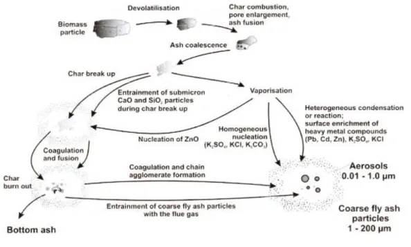 Figure 3 - Ash formation during biomass combustion (adapted from Obernberger (2005)) 