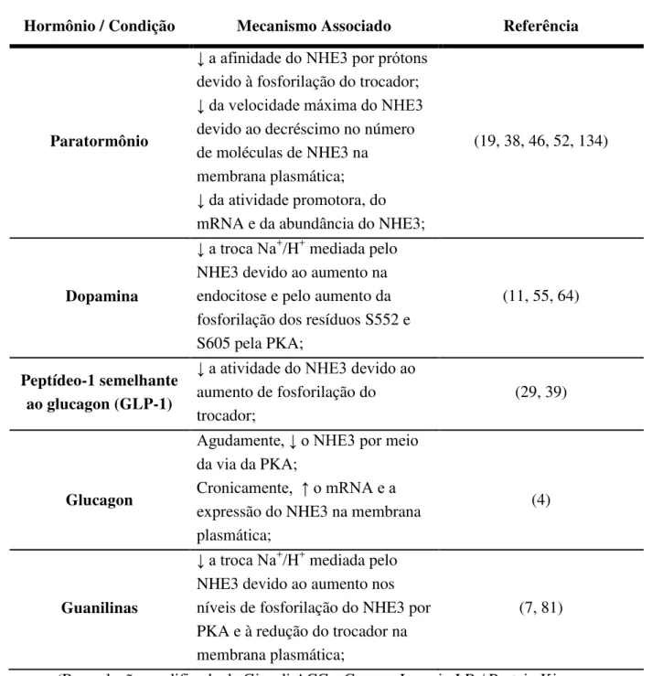 Tabela 2  –  Principais fatores e hormônios que inibem a atividade do NHE3 via  ativação da PKA 