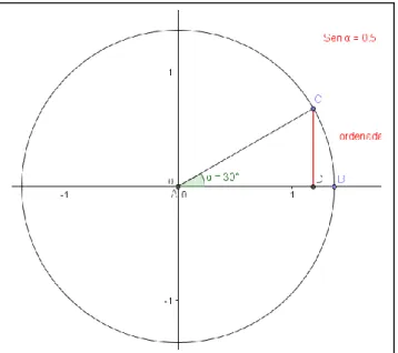Figura 5.3 Círculo trigonométrico com raio diferente de 1 