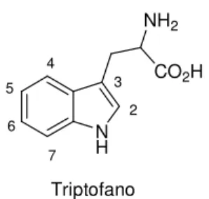 Figura 3. Estrutura do aminoácido triptofano 