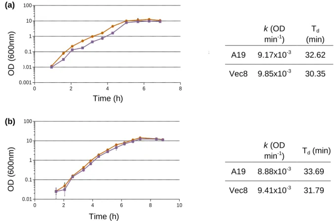 Fig. 2. Growth curves of A19 (orange line) and Vec8 (purple line) Bti strains. (a) and (b) correspond to  the first and the second replicates, respectively