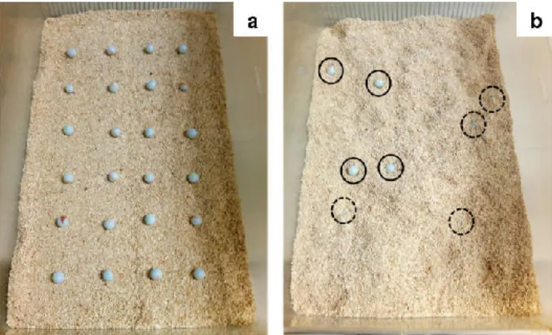 Fig. 2.4 – Representative pictures of the marble burying test. Animals are individually placed into a cage filled with 24, evenly distributed,  marbles (a)