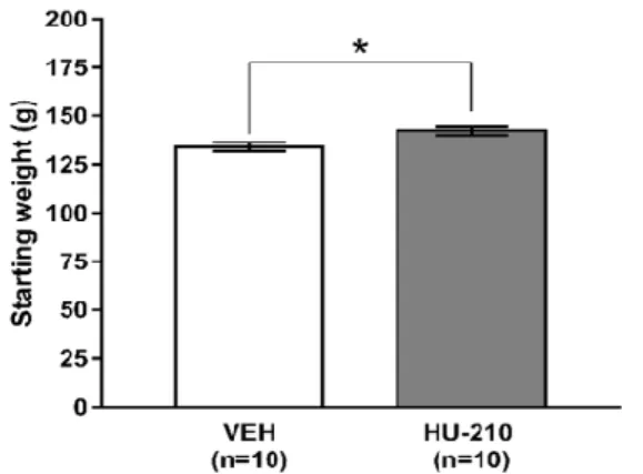 Fig. 3.3 – Animal weights at the start of the experiment (PND 35). HU-210-treated animals weighed significantly more than controls