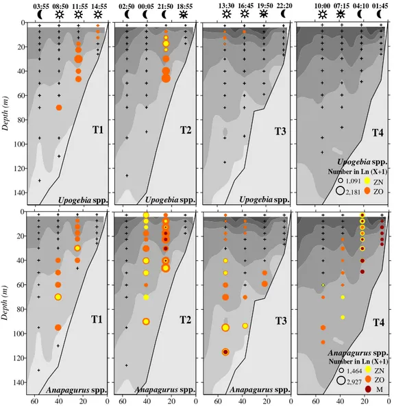 Figure 7- Vertical distributions of Upogebia spp. and Anapagurus spp.. T1, T2, T3 and T4 represent the four  sampled transects (respectively 40.9º N, 40.7º N, 40.5º N and 40.3ºN)