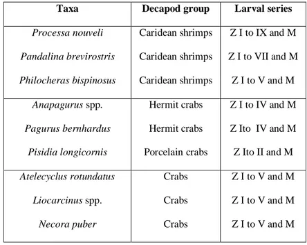 Table 1- List of the selected taxa, respective decapod crustacean group, and larval series