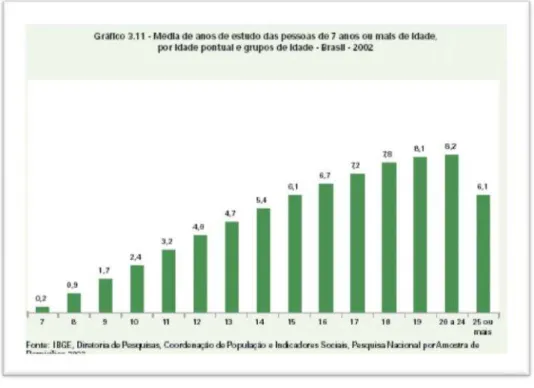 Ilustração nº 1  –  Dados do IBGE de 2002 