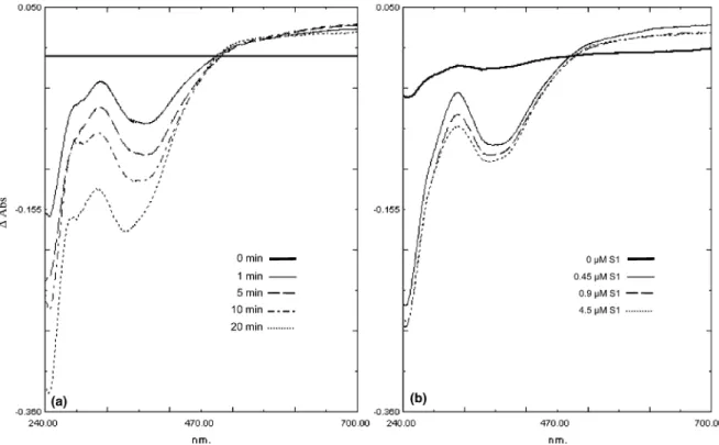 Fig. 2. UV–Vis diﬀerential spectra from 240–700 nm of 250 lM decavanadate solution in a medium containing 25 mM KCl, 2.5 mM MgCl 2 , 25 mM Hepes, pH 7.0: (a) after diﬀerent times of irradiation (0–20 min) in presence of 4.5 lM myosin S1; (b) in the presenc