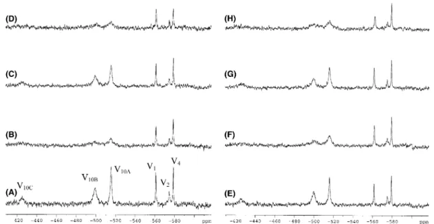 Fig. 4. 51 V NMR spectra of 2.0 mM nominal metavanadate + 5.0 mM nominal decavanadate solutions in the absence (A,E) and presence of 30 lM S1 (B,F); 30 lM F-actin (C,G); 30 lM S1 + 30 lM F-actin (D,H) with (Right panel) or without (Left panel) 2 mM ATP