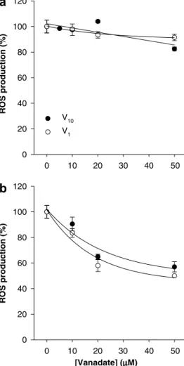 Fig. 3. Decameric vanadate (V 10 ) and monomeric vanadate (V 1 ) inhib- inhib-itory eﬀects on mitochondrial respiration measured with an oxygen electrode
