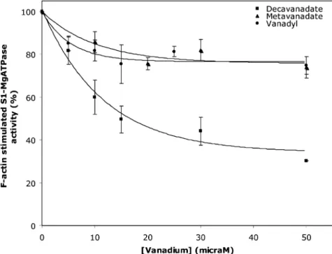 Fig. 5 Effect of F-actin incubation with V(IV) and V(V) on stimulation of S1 ATPase activity