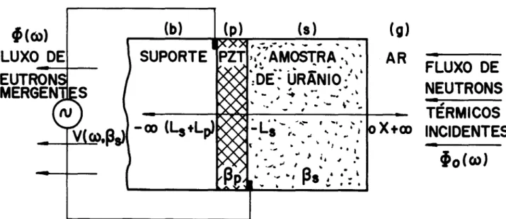 Fig. 3 - sistema neutronpiroelétrico. vista esquemática dos principais parâmetros envolvidos.