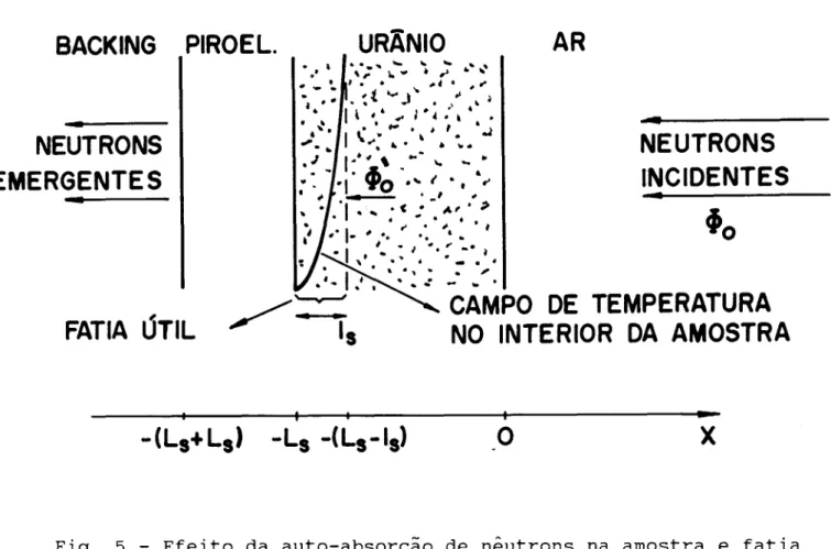 Fig. 5 - Efeito da auto-absorção de nêutrons na amostra e fatia útil para geração de calor na amostra de urânio.