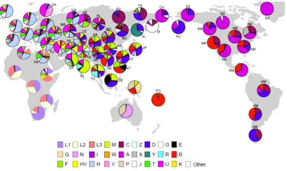 Figure II.2.  Worldwide distribution of mtDNA haplogroups. The data in this chart is supposed to  represent the situation before the recent European expansion beginning about 1500 YBP  (adapted from McDonald 2005).
