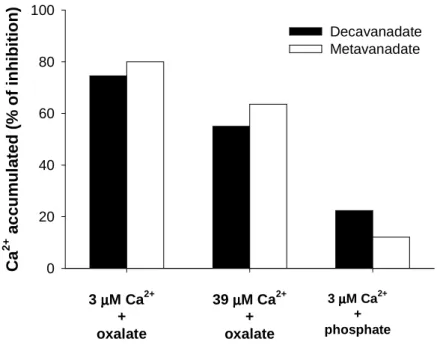 Figure  8.  Effect  of  SR  vesicles  calcium  gradient  on  the  inhibition  of  the  calcium  accumulation  by  decavanadate  and  metavanadate  solutions  (1  mM  total  vanadium,  meaning  100  µM  decameric  vanadate  species)