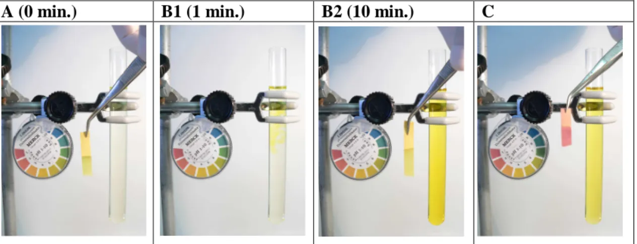 Figure 1. Upon acidification of a metavanadate solution 10 mM (A) it is possible to observe in minutes the  appearance  of  decameric  species  (B1  and  B2)  without  changing  dramatically  the  pH  (B2)