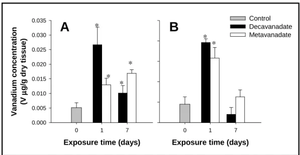 Figure 6. Vanadium concentration (µg V/g dry tissue) in renal mitochondria (A) and cytosol (B) from  Halobatrachus didactylus (n = 5) intraperitoneously injected with 5 mM (total vanadium) decavanadate or  metavanadate, 1 and 7 days after exposure (adapted