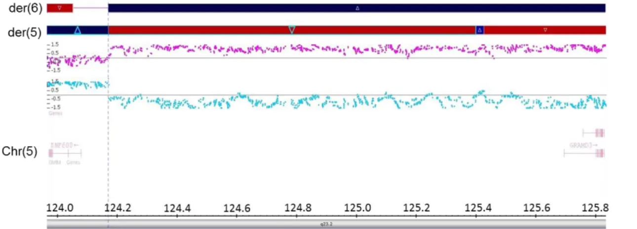 Figure 4.4: Array analysis of the t(5;6) breakpoint using CytoScan HD array from Affymetrix