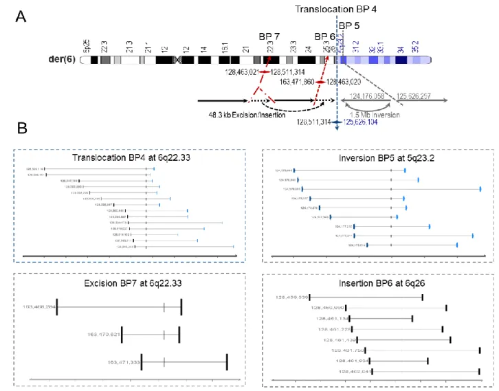 Figure 4.5: Mapping of the breakpoints by li-WGS.  