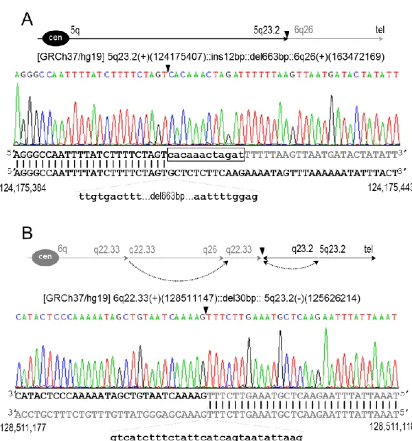 Figure 4.8: Breakpoints of t(5;6)(q23.2;q26) at nucleotide resolution. Breakpoints of both der(5) and der(6) are depicted  by a black inverted triangle