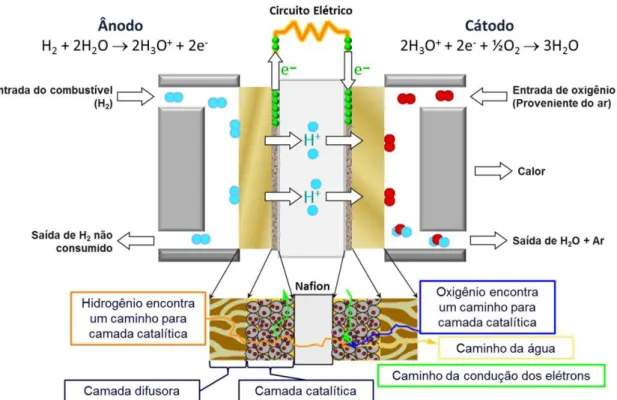 Figura 2. Célula a combustível de membrana trocadora de prótons (PEMFC) [20]. 