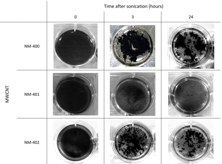 Figure 10. The three MWCNT in suspension in BEGM culture medium, immediately after cell exposure, three hours  later and twenty-four hours after treatment
