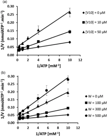 Fig. 3 Vanadium analysis performed by atomic absorption spec- spec-troscopy (AAS). V 10 samples containing 1 μ M vanadate species, upon addition of an equal concentration of sarcoplasmic reticulum (SR) calcium ATPase (1 μ M), in the presence of heparin or 