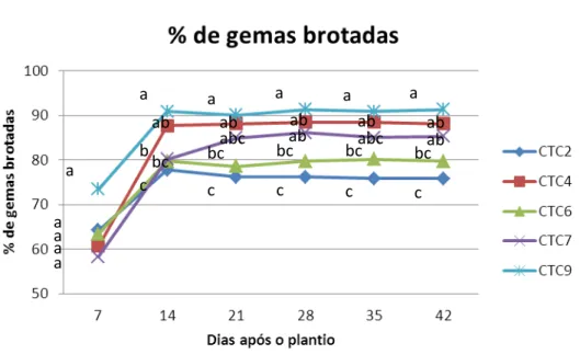 Figura 3 - Porcentagem média de gemas brotadas até os 42 DAP em relação às variedades 