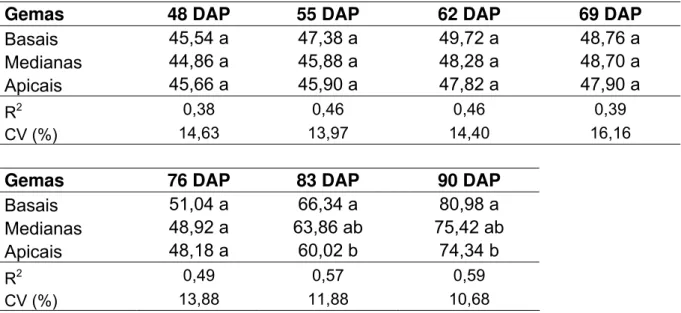 Tabela 12 - Altura média das plantas, expressa em cm, dos 48 aos 90 DAP, em relação a origem das   gemas no colmo 