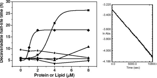 Fig. 4 Decavanadate stabilization by actin and calcium pump. Decavanadate (10 mM V10 species or 100 mM total vanadium) half-life time in presence of: (  ) G-actin in polymerization buffer (Tris 2 mM, CaCl 2 0.2 mM, ATP 10 mM, KCl 100 mM, MgCl 2 2 mM, pH 7.