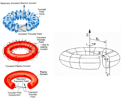 Figure 1.2 General scheme of the toroidal and poloidal directions and fields in a tokamak device