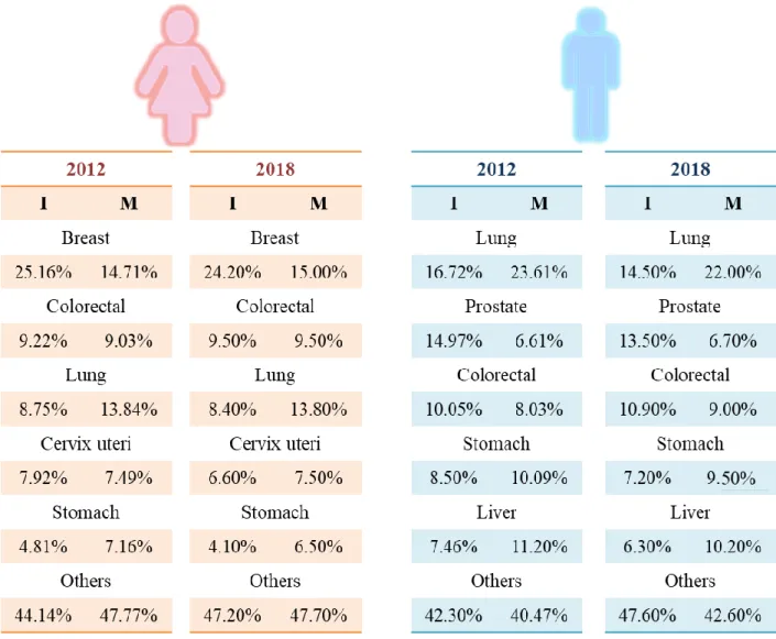 Figure  1.1.  Distribution  data,  presented  in  percentage  values,  for  the  5  most  widespread  cancer  types  in  women  (left)  and  men  (right)