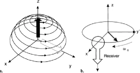 Figure 1.4  a. Excitation  of  the  magnetization  when  observed  in  the  laboratory frame